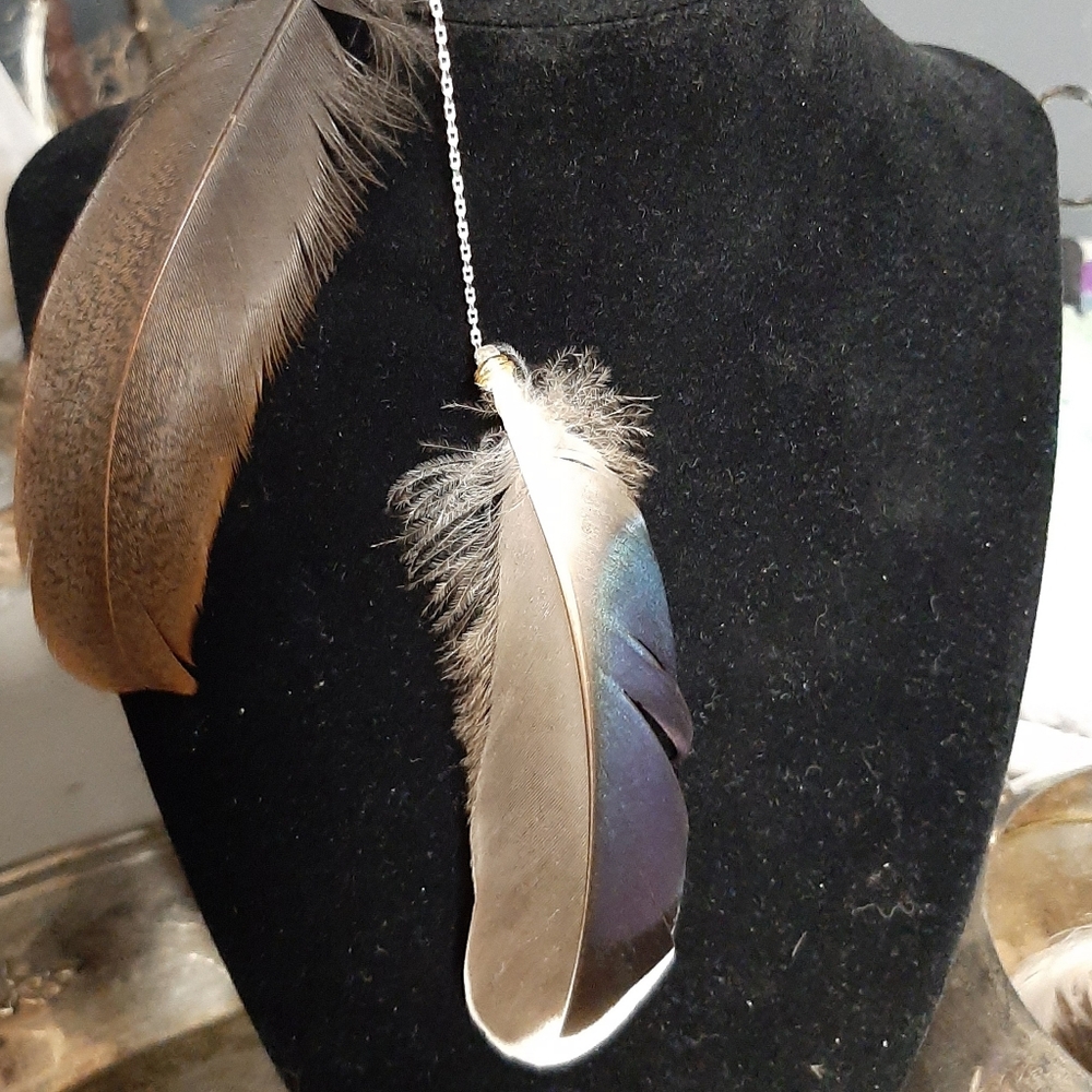 Feathers for hair accents